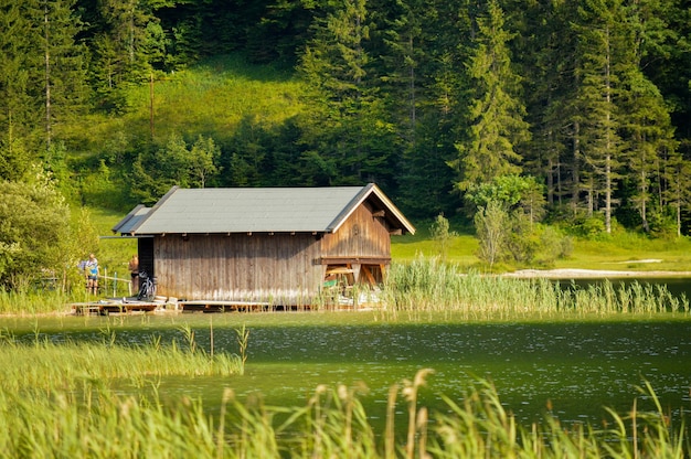 Hermosa foto de la pequeña casa de madera entre árboles verdes y junto al lago