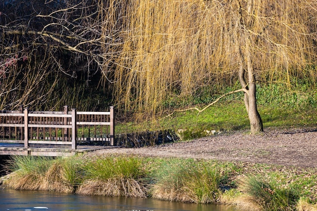 Hermosa foto de un pequeño puente sobre un lago en el parque Maksimir en Zagreb, Croacia durante el día