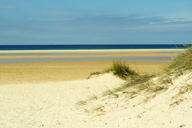 Hermosa foto de una playa de arena en Tarifa, España