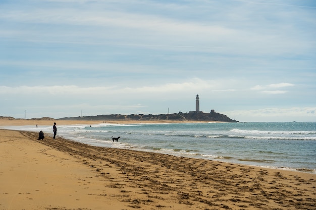 Hermosa foto de una playa de arena en zahora españa