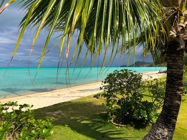 Hermosa foto de una playa tropical turquesa