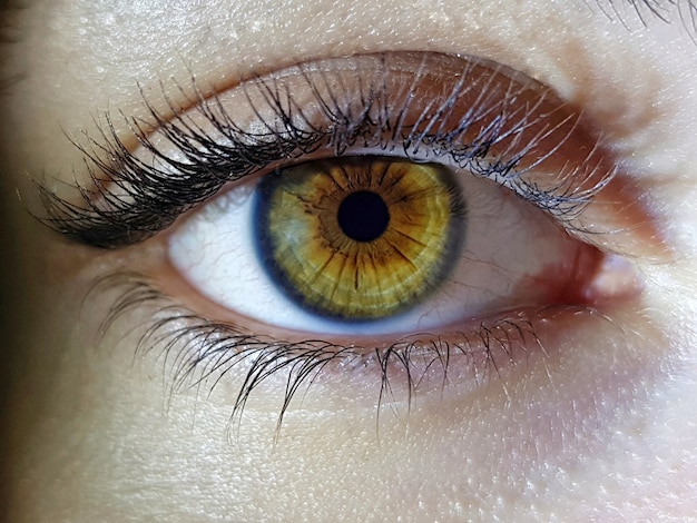 Hermosa foto de primer plano macro de los ojos profundos de un humano femenino