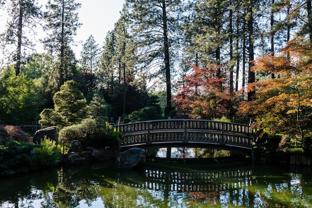 Foto gratuita hermosa foto de un puente que cruza un intercambio con árboles altos