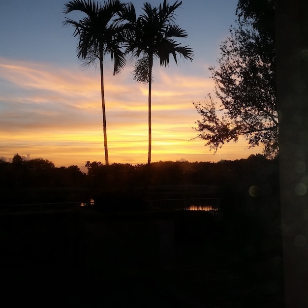 Hermosa foto de una puesta de sol nublada por un campo recortado con arbustos y árboles