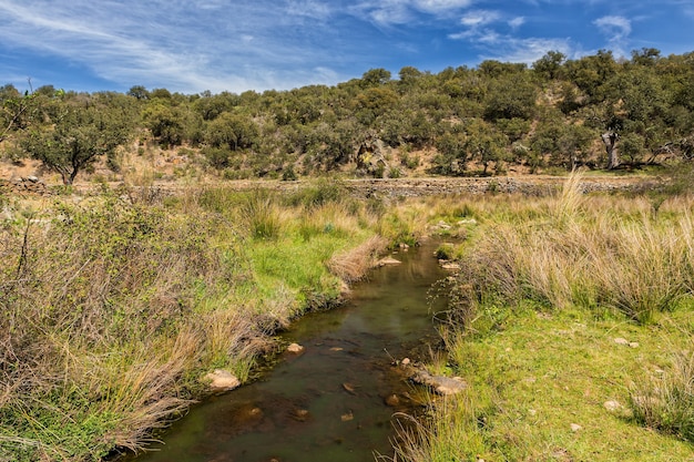 Hermosa foto del río y el paisaje en Salorino, España