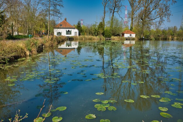 Hermosa foto de un río con pequeñas casas en el fondo durante el día