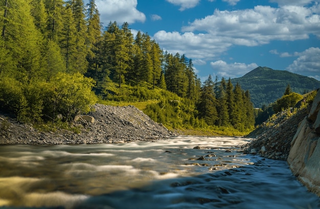 Hermosa foto de un río tranquilo rodeado de abetos