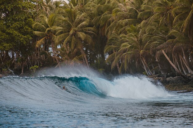 Hermosa foto de romper la ola con los árboles tropicales en una playa en Indonesia