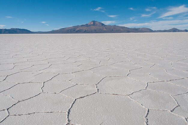 Hermosa foto del salar bajo un cielo azul brillante en la isla Incahuasi, Bolivia