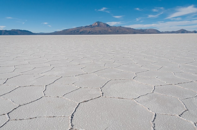 Hermosa foto del salar bajo un cielo azul brillante en la isla Incahuasi, Bolivia