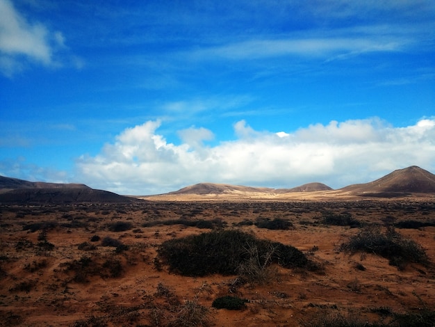 Hermosa foto de tierras secas y arbustos en el Parque Natural de Corralejo, España