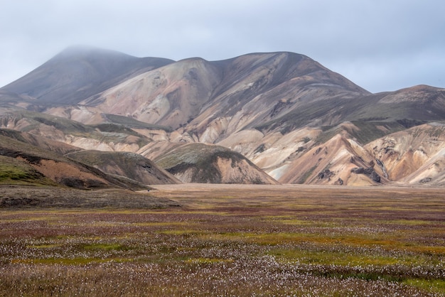 Foto gratuita hermosa foto de un valle en islandia con montañas