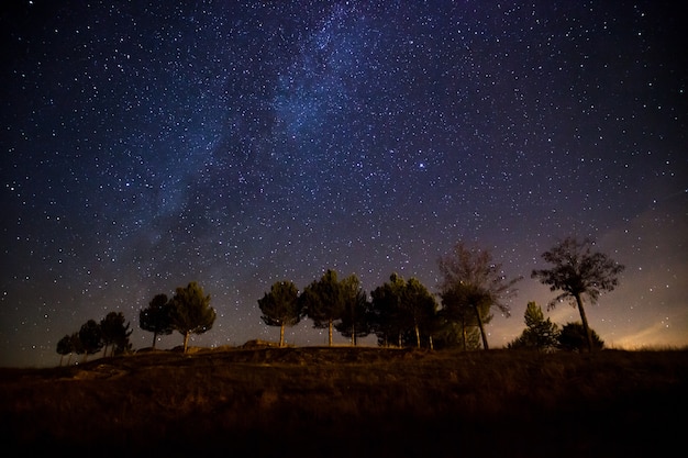 Hermosa foto de la vía láctea sobre una colina con pocos árboles por la noche