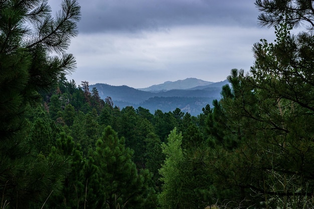 Foto gratuita una hermosa fotografía de un paisaje natural