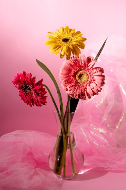 Hermosa gerbera en florero y velo rosa