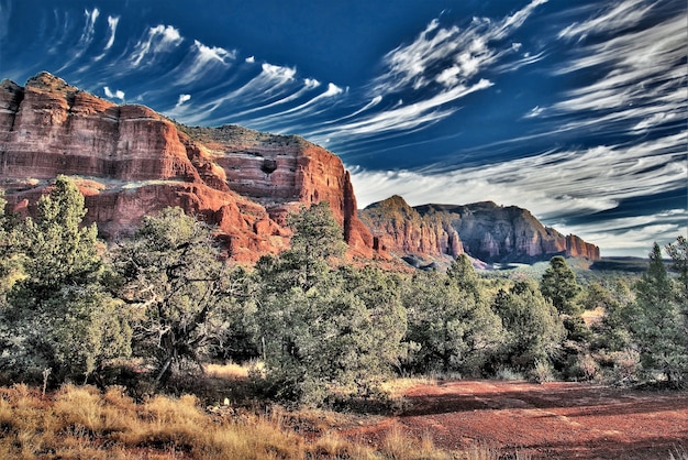 Hermosa imagen de colinas rocosas de color naranja y árboles de follaje bajo el gran cielo durante el día en Sedona