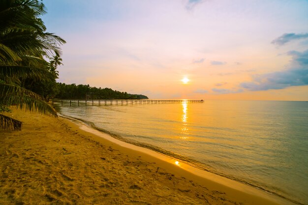 Hermosa isla paradisíaca con playa y mar alrededor de palmera de coco.