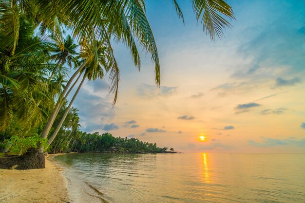 Hermosa isla paradisíaca con playa y mar alrededor de palmera de coco.