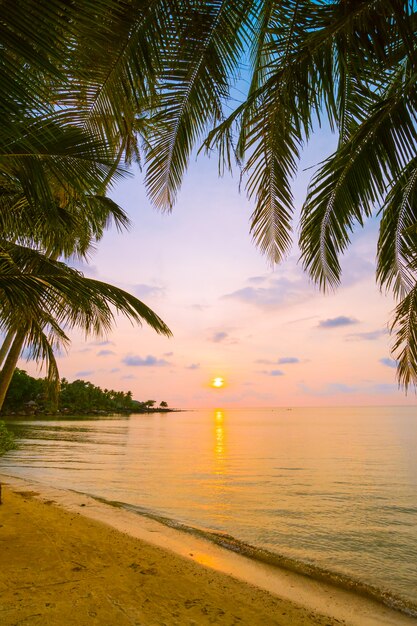 Hermosa isla paradisíaca con playa y mar alrededor de palmera de coco.