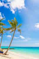 Foto gratuita hermosa isla tropical de maldivas, playa de arena blanca y el mar con el árbol de palmeras alrededor