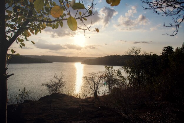 Hermosa luz del sol de la mañana.