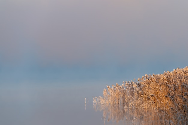 Una hermosa mañana al amanecer, amanecer, la niebla se arremolina alrededor del paisaje de principios de invierno.