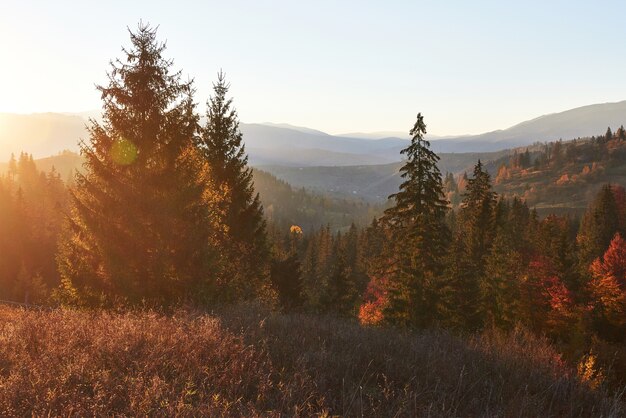 Hermosa mañana de otoño en el punto de vista sobre el valle del bosque profundo en los Cárpatos, Ucrania, Europa.