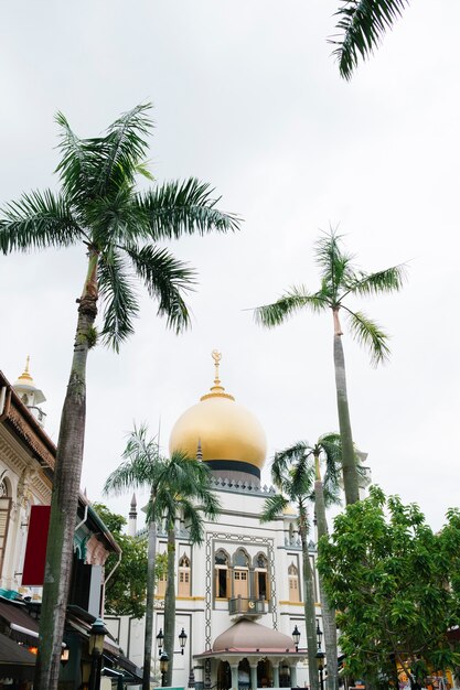 hermosa mezquita y palmera en Singapur