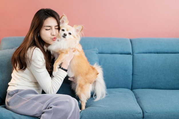 Hermosa mujer atractiva jugando con un encantador perro de pelo marrón chihuahua con un sofá en el fondo de la casa