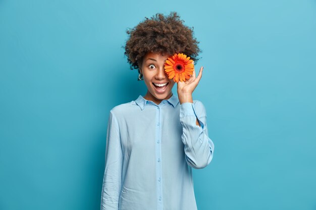 Hermosa mujer cubre los ojos con gerbera naranja fragante o flor de margarita viste camisa festiva aislada sobre pared azul tiene una sonrisa perfecta de belleza natural