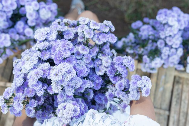 Hermosa mujer disfrutando de campo de flores