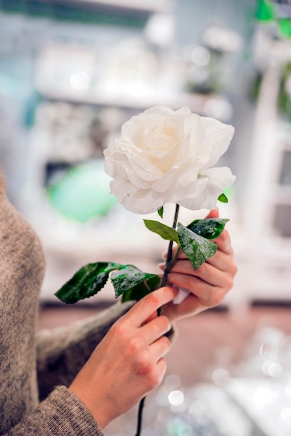 Hermosa mujer manos con rosa. Delicado flor en las manos de la niña