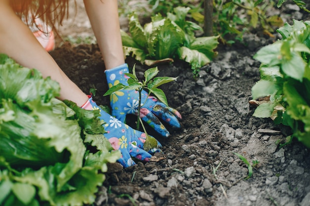 Hermosa mujer trabaja en un jardín