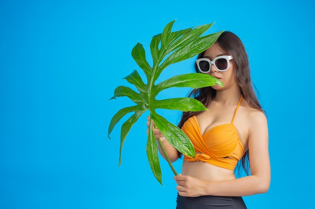 Foto gratuita una hermosa mujer en traje de baño sosteniendo una hoja verde posa en azul