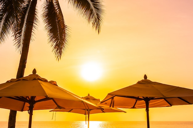 Hermosa naturaleza al aire libre con el cielo y la puesta del sol o el amanecer alrededor de la palmera de coco