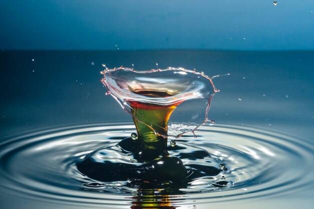 Hermosa naturaleza muerta con agua