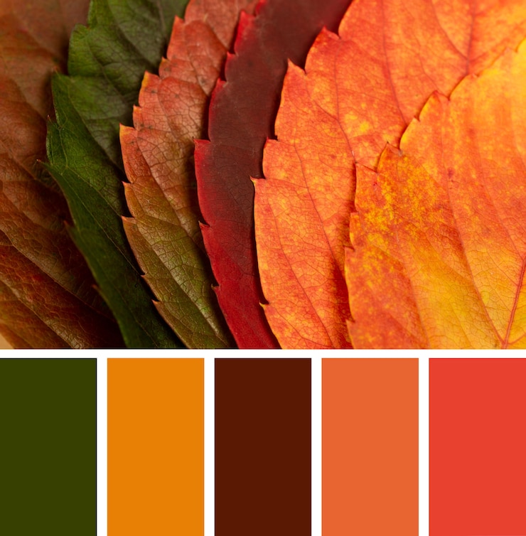 Foto gratuito hermosa naturaleza con muestras de color.