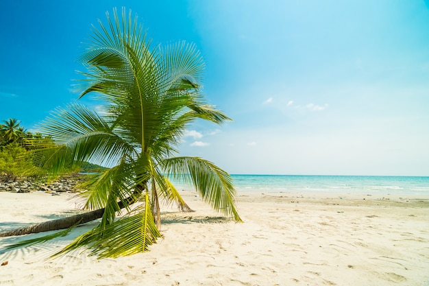 Foto gratuita hermosa naturaleza playa tropical