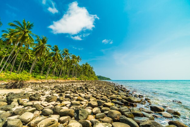 Hermosa naturaleza playa tropical