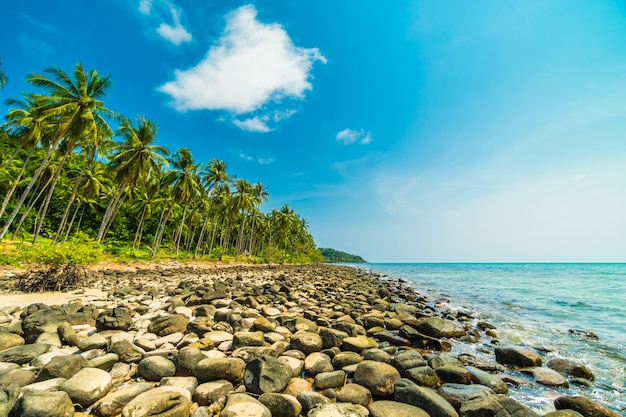 Hermosa naturaleza playa tropical