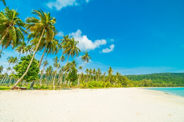 Hermosa naturaleza playa tropical