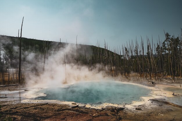 Hermosa niebla que se eleva desde el suelo cerca de los árboles capturados en el Parque Nacional de Yellowstone, EE.