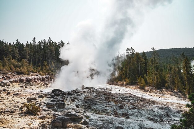 Hermosa niebla que se eleva desde el suelo cerca de los árboles capturados en el Parque Nacional de Yellowstone, EE.