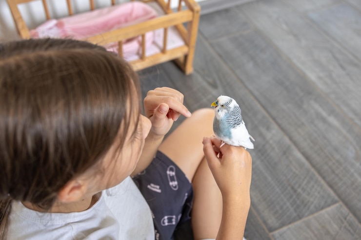 Foto gratuito una hermosa niña está jugando con un perrito blanco y azul concepto de mascotas