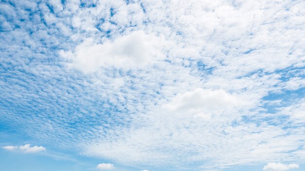 Hermosa nube blanca