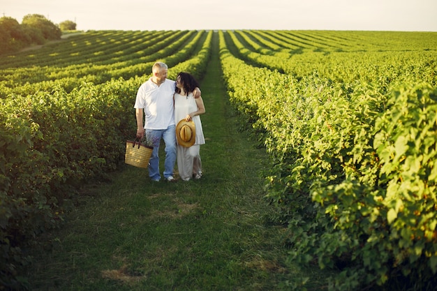 Hermosa pareja adulta pasa tiempo en un campo de verano