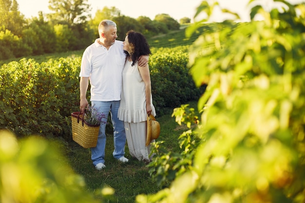 Hermosa pareja adulta pasa tiempo en un campo de verano