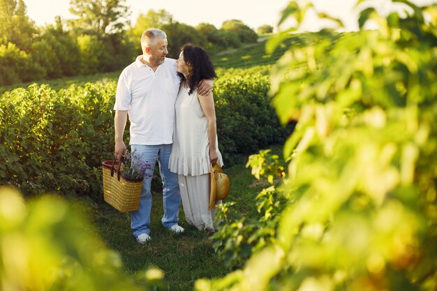 Hermosa pareja adulta pasa tiempo en un campo de verano