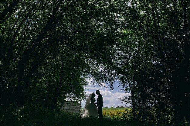 Hermosa pareja en el bosque sobre un fondo de tala de bosques en el campo