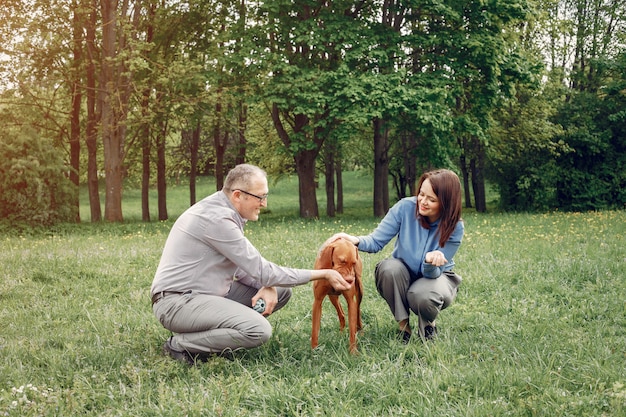 Hermosa pareja en un bosque de verano con perros